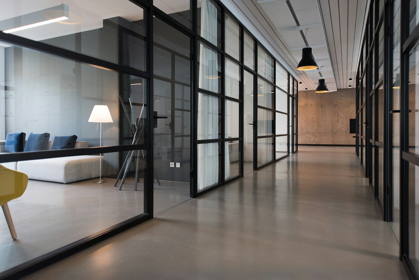 Light-filled contemporary office with plants
